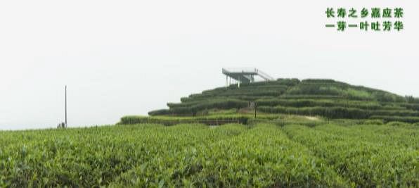 360截圖20201201103919018.jpg