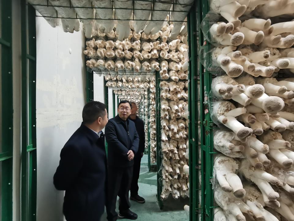 3.貴州.jpg