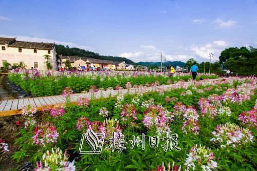 生態(tài)好了，環(huán)境變了，吸引越來(lái)越多的人前來(lái)旅游。圖為西河北塘3A旅游景區(qū)。
